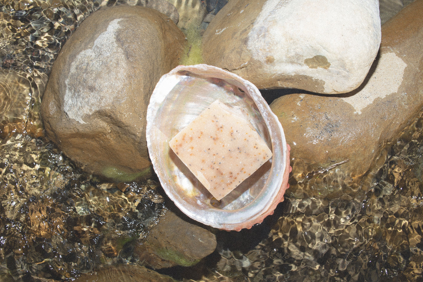Lemon Poppy Seed Body Bar